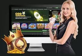 Catatan privasi Slot Macan Hoki dewasa